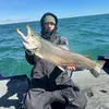 mohicanoutdoors715