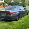 the_grey_whippet12