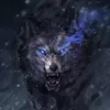 wo_lf427