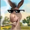 horse.radish