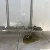 jumpfourjoyy