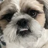 gabby101101