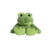 nblsnt