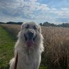 maurits.rhff