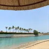 wafaa123