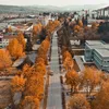 kamenica