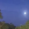 no_1342685496185