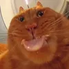 mieraaaaaaaaaaaaaaaaaaaa