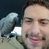 amarneh