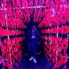 webbiewebb