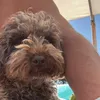 teunvermeulennn