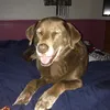 bryce_028