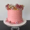 nicicakes