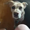 tiktokr46283729173