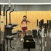ismaa_vvs