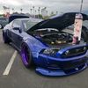 bagged_stang_