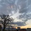 ineednewinsight