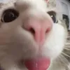 sadieholmes1