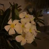 aaa204_