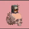 mario_knight128