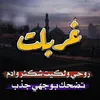 sheib702