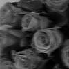 x_rachelx