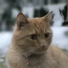 soldev47