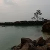asarohhan