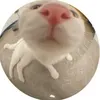 pikkuperuna4000