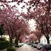 selinagj276