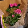 lonieyckmans