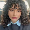 myricaexart