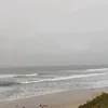 ferreirasofia1