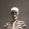 spookyt0ez