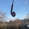 thatstoofunny7