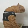 cheddarmouse789