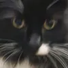 sm0k4h0nt4ss