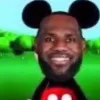 ms1xf