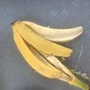 leeleeuwu