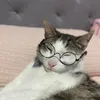 jungcooki3