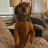 mollystrohl