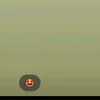 nettss_1