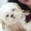 queenofedz