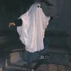 alibaylann