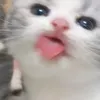 pinnk