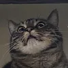 kevin___grn