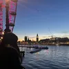 sofi_d_99