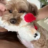 evelynkimm