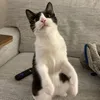 malnellaaaa