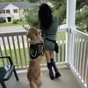 chronicjourneyandpaws